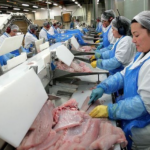 Meat Packer Jobs in Canada for foreigners that pays $13 per Hour